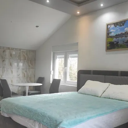 Leonida 1 公寓 特雷比涅